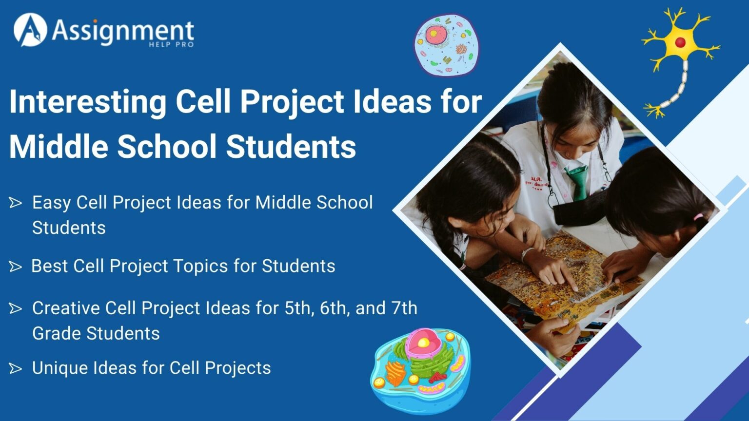 Top 45 Cell Project Ideas for Middle - Interesting Cell Project Ideas For Middle School Students 1536x864 
