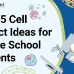 Cell Project Ideas for Middle School Students