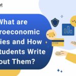 What are Macroeconomic Policies and How Can Students Write About Them