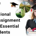Why Professional MBA Assignment Help is Essential for Students